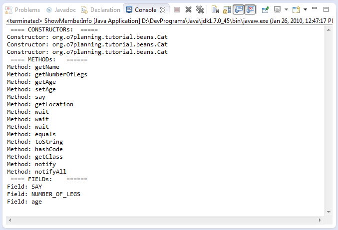 java reflection get name of instance field
