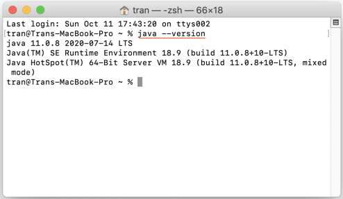 upgrade java 8 to 11 mac