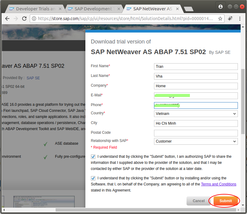 sap download manager windows 2012 r2 java