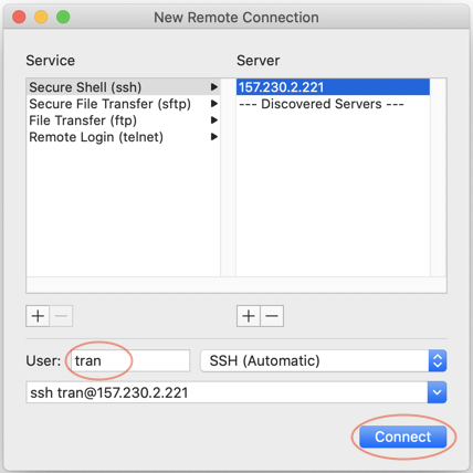 ip address macos terminal