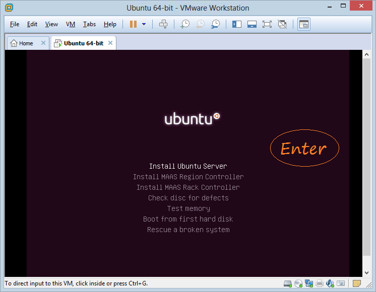 litespeed web server install ubuntu